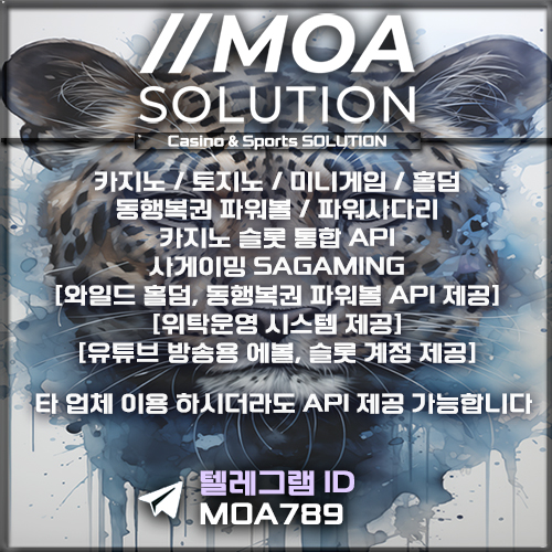 카지노솔루션.jpg
