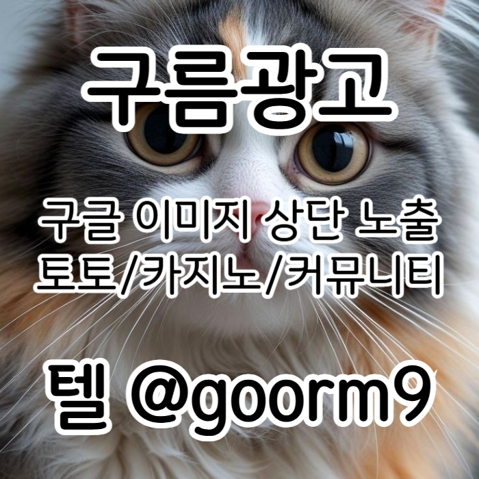 토토사이트홍보-구글이미지홍보하기-카지노홍보-토토광고-사설토토홍보-구글이미지광고94um85uy45089f1u6m8g.jpg