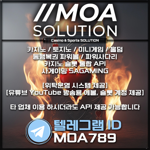 카지노솔루션.jpg