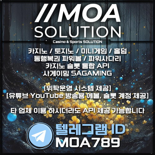 카지노솔루션.jpg