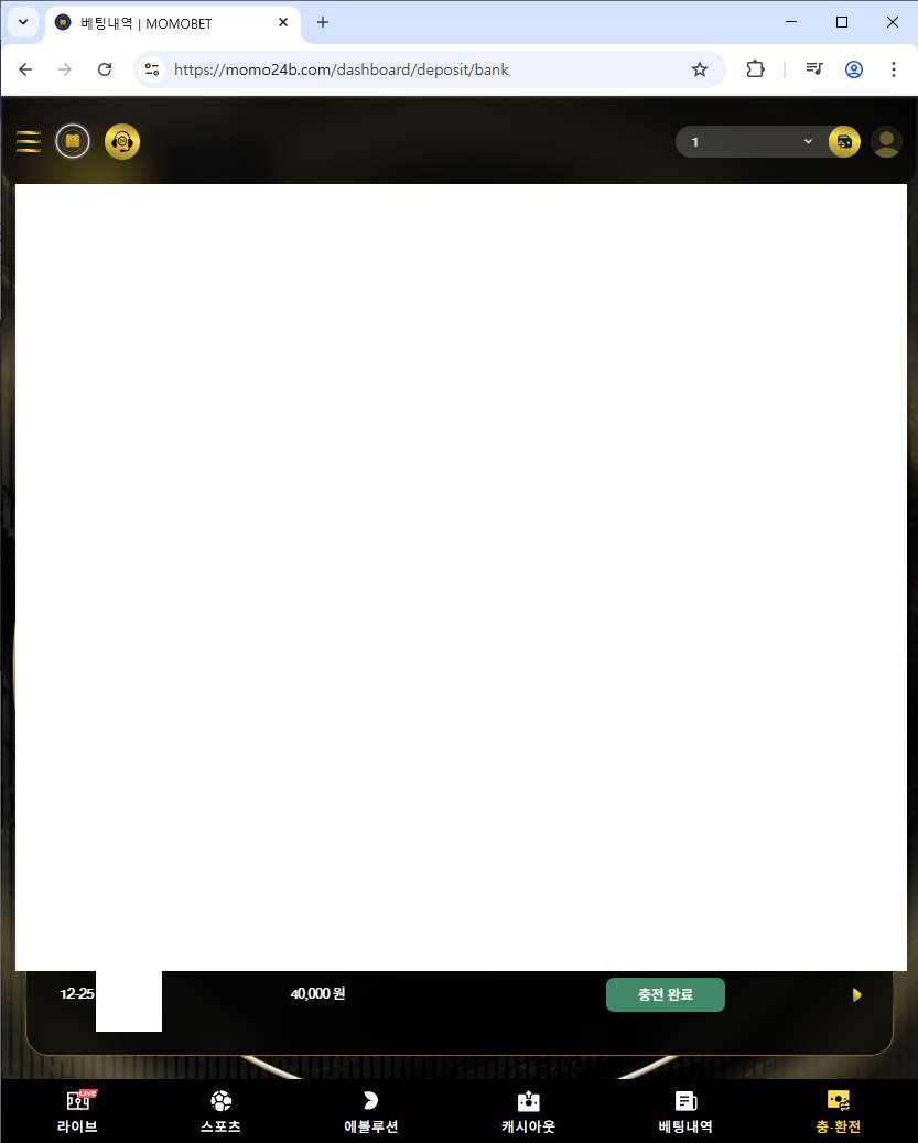 모모1.png