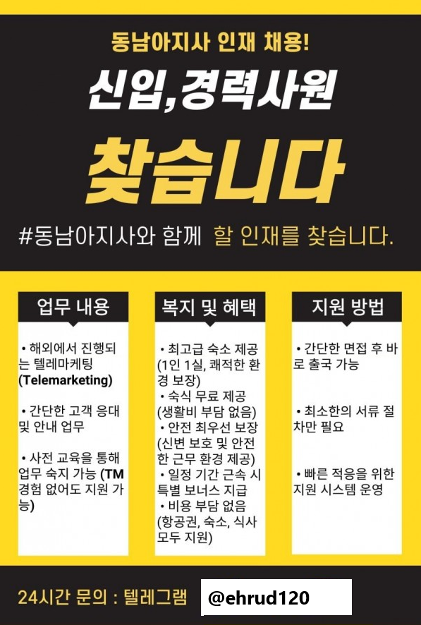 양팀장.png