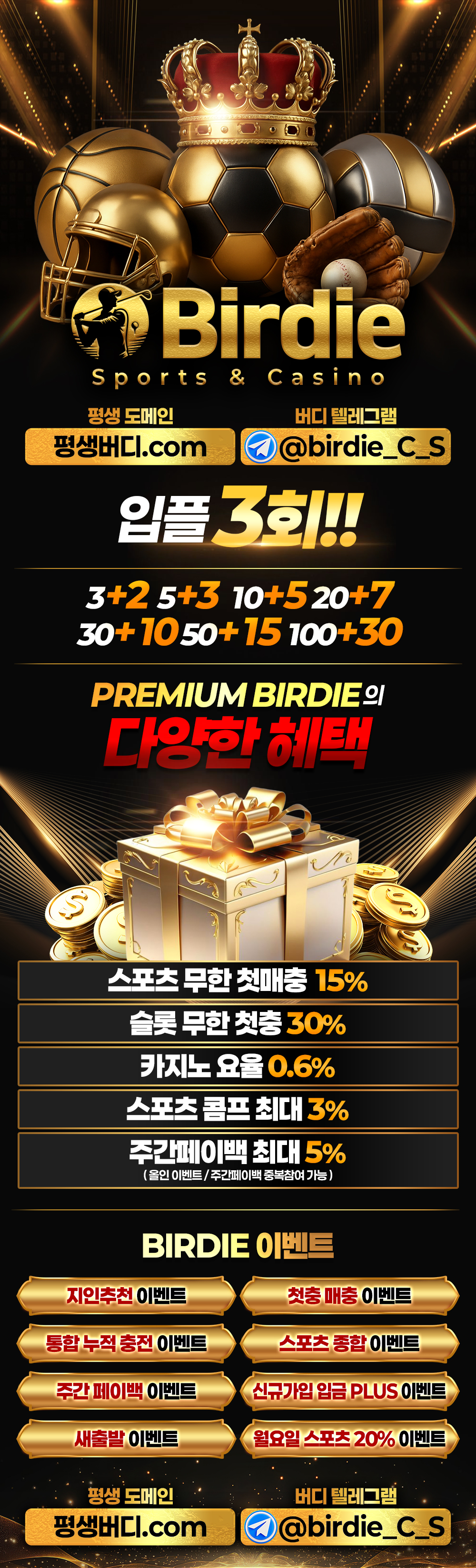 버디-블랙-랜딩.jpg