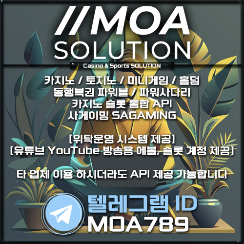 카지노솔루션.jpg