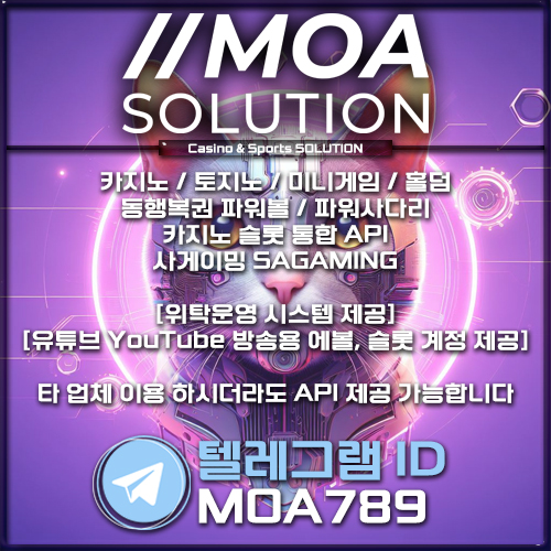 카지노솔루션.jpg