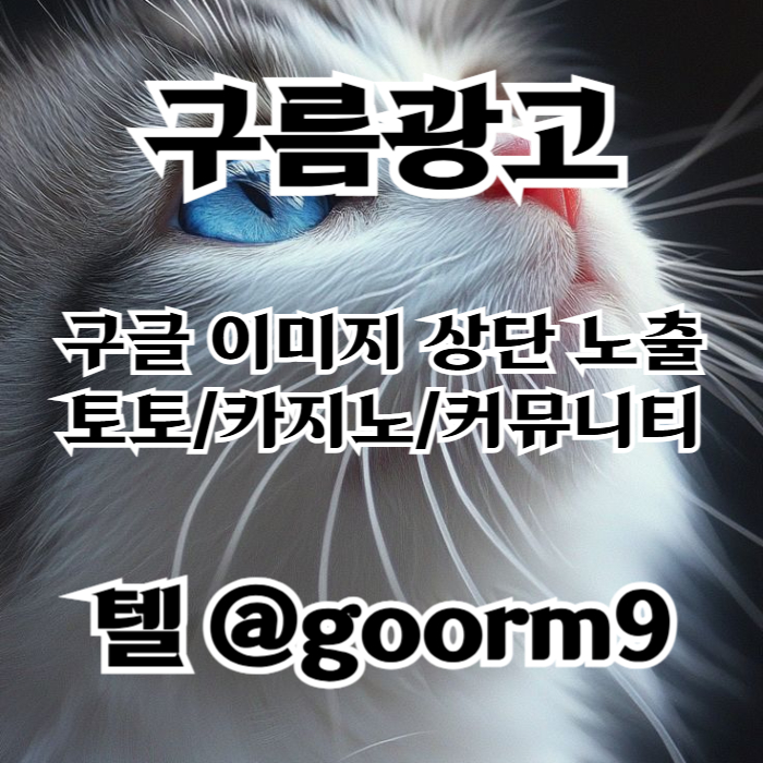 DFDDddgdfgdsgvvedsfvd토토사이트홍보-구글이미지홍보하기-카지노홍보-토토광고-사설토토홍보-구글이미지광고002.jpg
