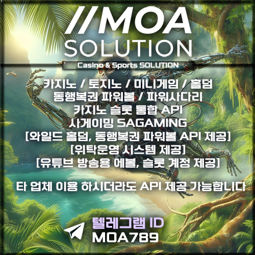 카지노솔루션.jpg