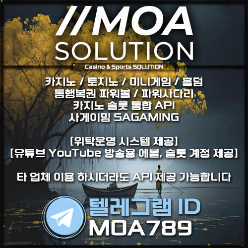 카지노솔루션.jpg