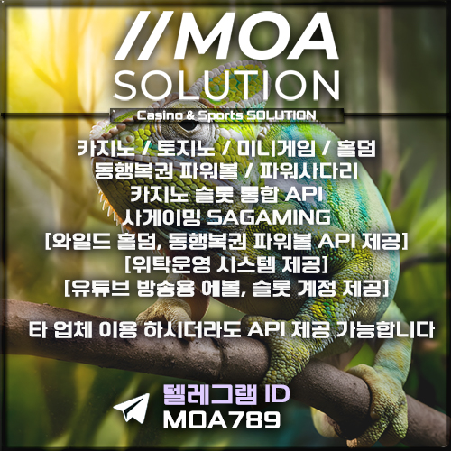 카지노솔루션.jpg