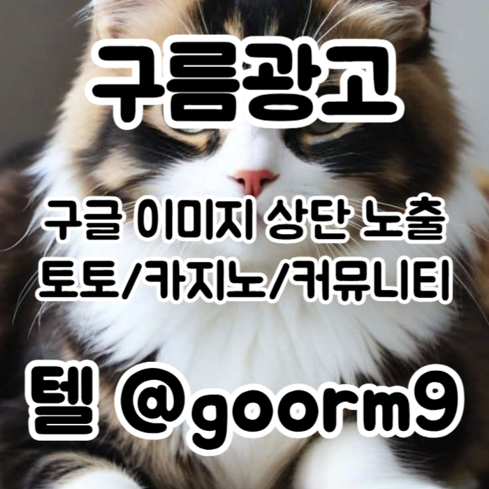 토토사이트홍보-구글이미지홍보하기-카지노홍보-토토광고-사설토토홍보-구글이미지광고9v5um845yu998045g.jpg
